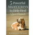5 Powerful Meditations to Help Heal Your Animals
