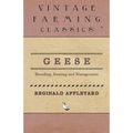 Geese - Breeding, Rearing and Management