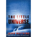 The Little Universe