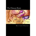 The Human Brain: A Fascinating Book Containing Human Brain Facts, Trivia, Images & Memory Recall Quiz: Suitable for Adults & Children