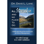 All Stressed Up and No Place to Go - Paperback