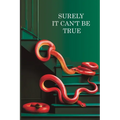 Surely it can't be True: A True Story of Struggle, Success, and Survival in Business and Life