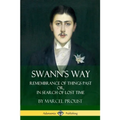 Swann's Way: Remembrance of Things Past, or In Search of Lost Time (Volume One)