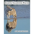 Charting Yellowstone Wolves
