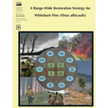 A Range-Wide Restoration Strategy for Whitebark Pine (Pinus Albicaulis)