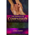 The Pinnacle of Compassion: Ten Ways We Can Be More Like Jesus