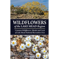 Wildflowers of the Lake Mead Region