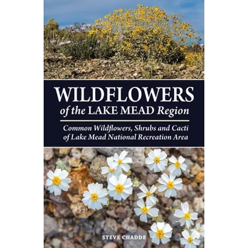 Wildflowers of the Lake Mead Region