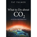What to Do About Co2: And All Those Other Ghastly Gases