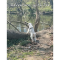 Adventures with Zoé