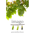 Imago