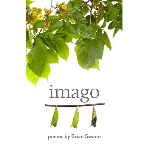Imago