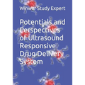 Potentials and Perspectives of Ultrasound Responsive Drug Delivery System