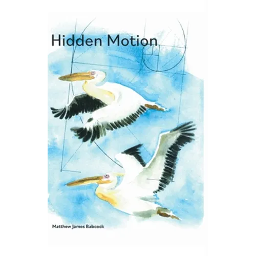 Hidden Motion