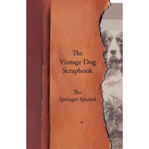 The Vintage Dog Scrapbook - The Springer Spaniel