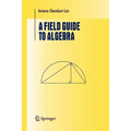 A Field Guide to Algebra