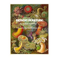 Designs in Nature: the incredible art of Ernst Haeckel