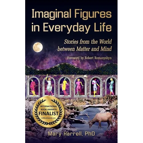 Imaginal Figures In Everyday Life: Stories from The World Between Matter And Mind
