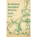 How to Reclaim and Restore Neglected Old Fruit Trees - An Article