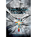 Fractured Mirror Grieving Beautifully Imperfect: A Journey Through the First Year of Grief