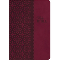 Study Bible-KJV
