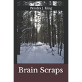 Brain Scraps