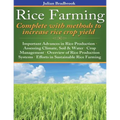 Rice Farming complete with methods to increase rice crop yield