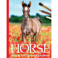 Foals: Horse Images for Artist's Reference and Inspiration