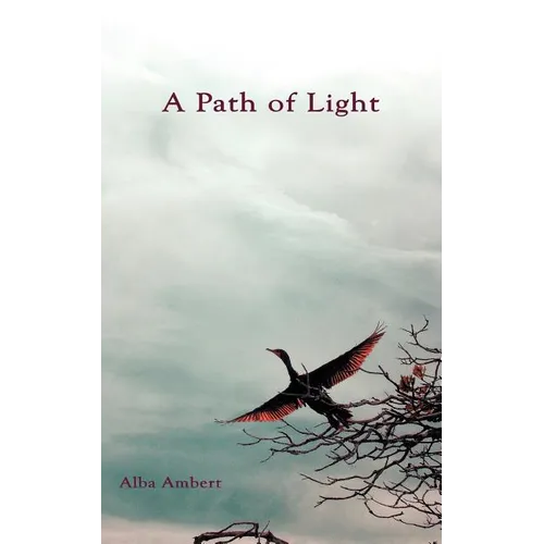 A Path of Light