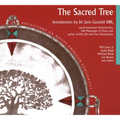 Sacred Tree: Reflections on Native American Spirituality