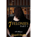 7 Felonies: One Woman's Journey of Poor Choices