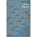 Fancy Pigeons: Containing Full Directions For Their Breeding And Management