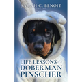 Life Lessons of a Doberman Pinscher