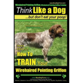 Wirehaired Pointing Griffon, Wirehaired Pointing Griffon Training Think Like a Dog But Don't Eat Your Poop! Wirehaired Pointing Griffon Breed Expert T