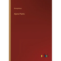 Alpine Plants