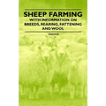 Sheep Farming - With Information on Breeds, Rearing, Fattening and Wool