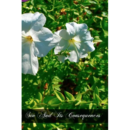 Sin And Its Consequences