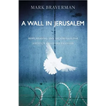 A Wall in Jerusalem: Hope, Healing, and the Struggle for Justice in Israel and Palestine