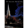 The Immaculate Heart Of Mary