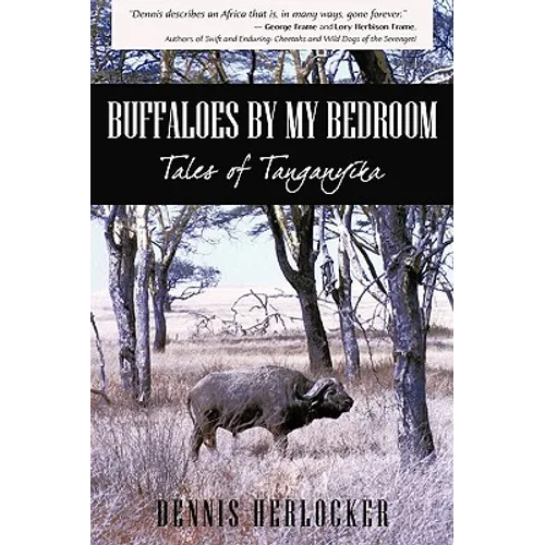 Buffaloes by My Bedroom