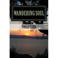 Wandering Soul: full of love, pain, and fun