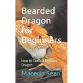 Bearded Dragon for Beginners: How to Tame a Bearded Dragon