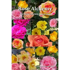 Rose Alchemy: The Reiki Seichim Integration