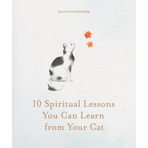 10 Spiritual Lessons You Can Learn from Your Cat: Essential Life Lessons We Can Learn from Our Furry Friend