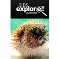 Puffer Fish - Kids Explore: Animal books nonfiction - books ages 5-6