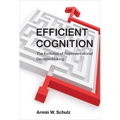 Efficient Cognition: The Evolution of Representational Decision Making