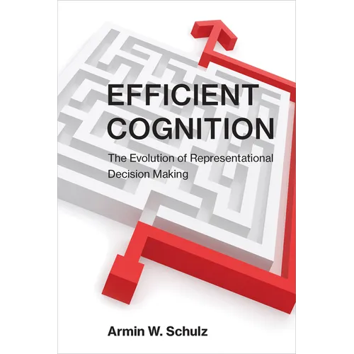 Efficient Cognition: The Evolution of Representational Decision Making