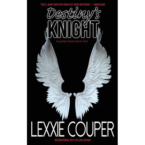 Destiny's Knight