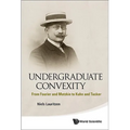Undergraduate Convexity: From Fourier and Motzkin to Kuhn and Tucker