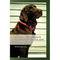 Kodiak ... A Chocolate Labrador Retriever and my best friend